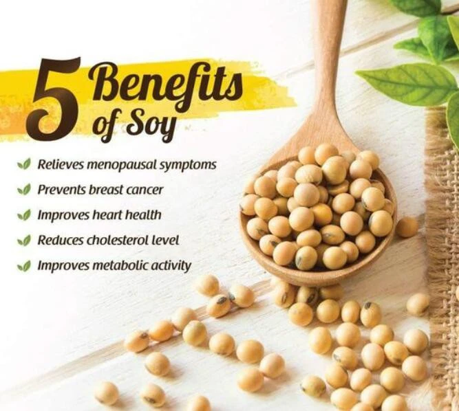 Pure Natural Soy Isoflavone.webp